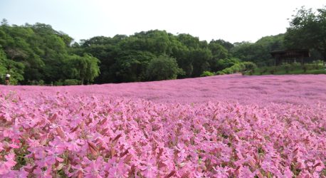 6月14日（土）医局説明会